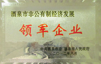 August 2012 was awarded the Jiuquan non-publ...